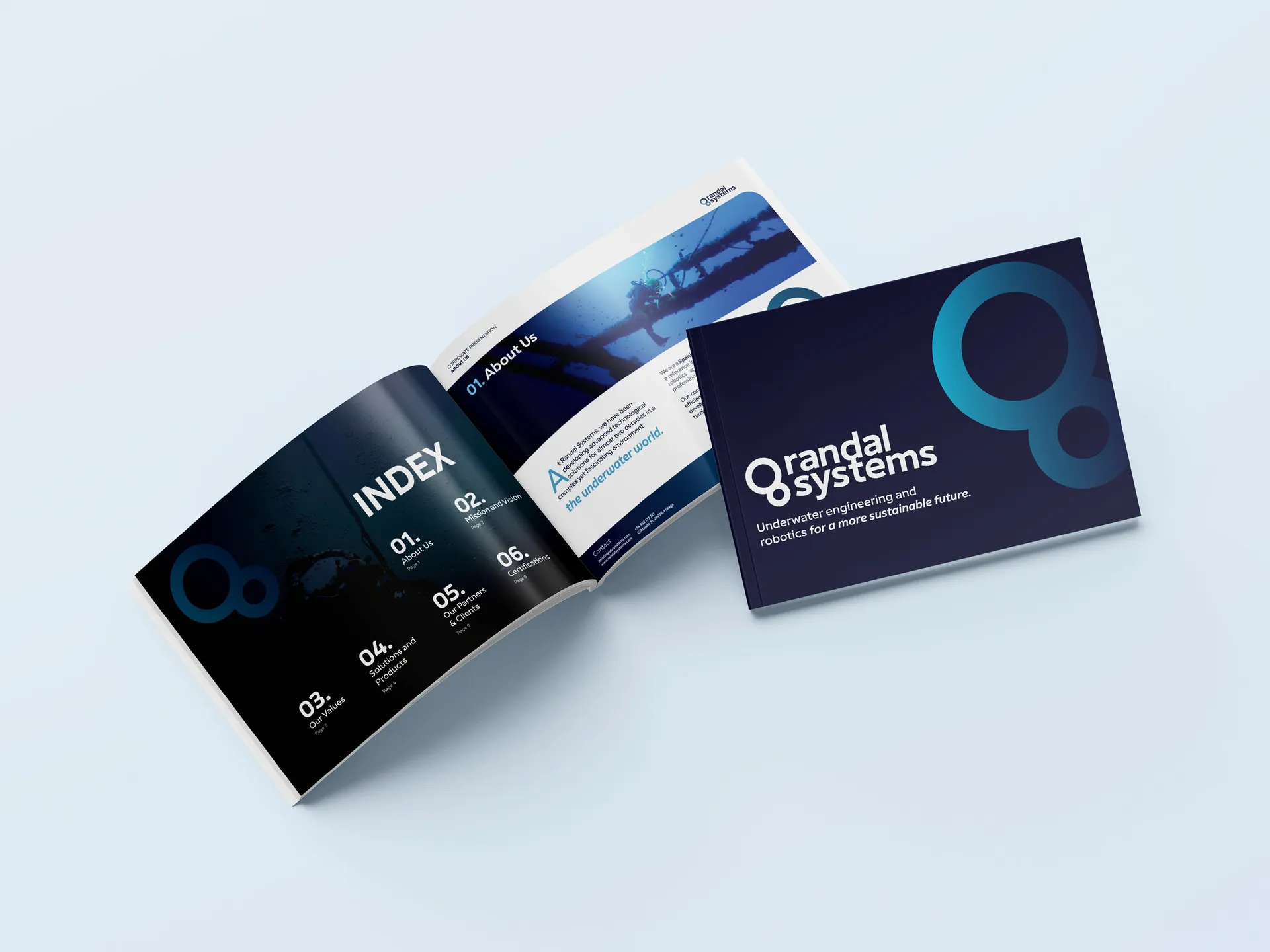 Randal Systems &mdash; Detalle