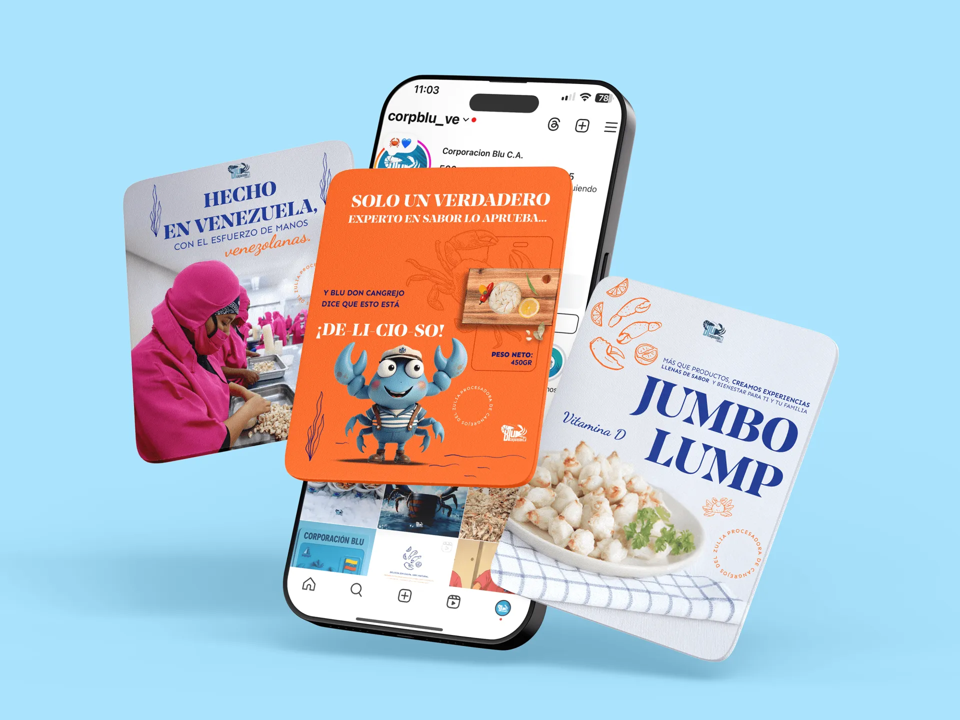 Blu C.A &mdash; Mockup