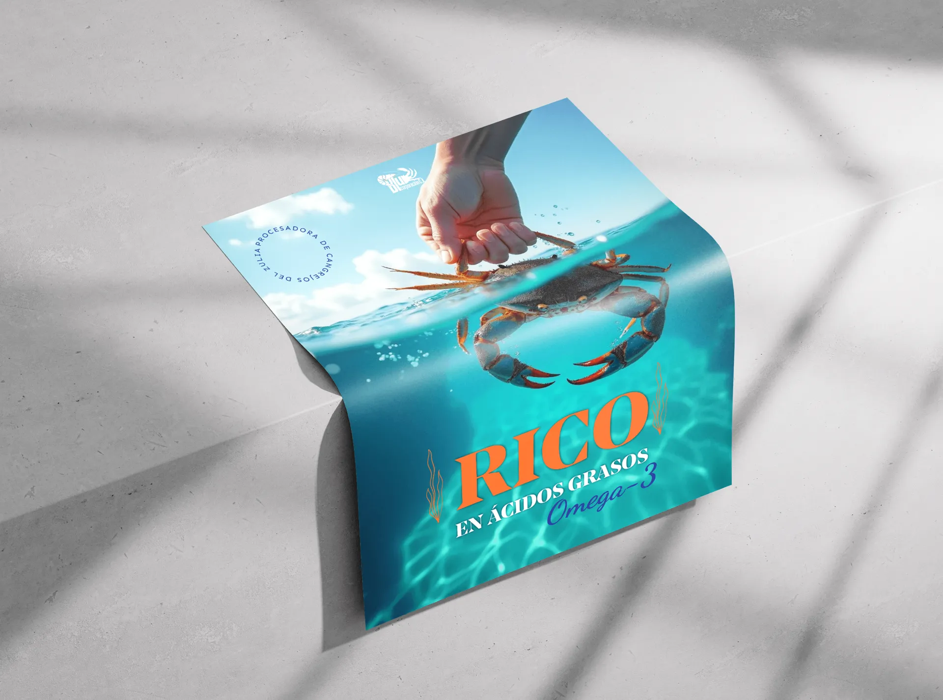 Blu C.A &mdash; Identidad completa