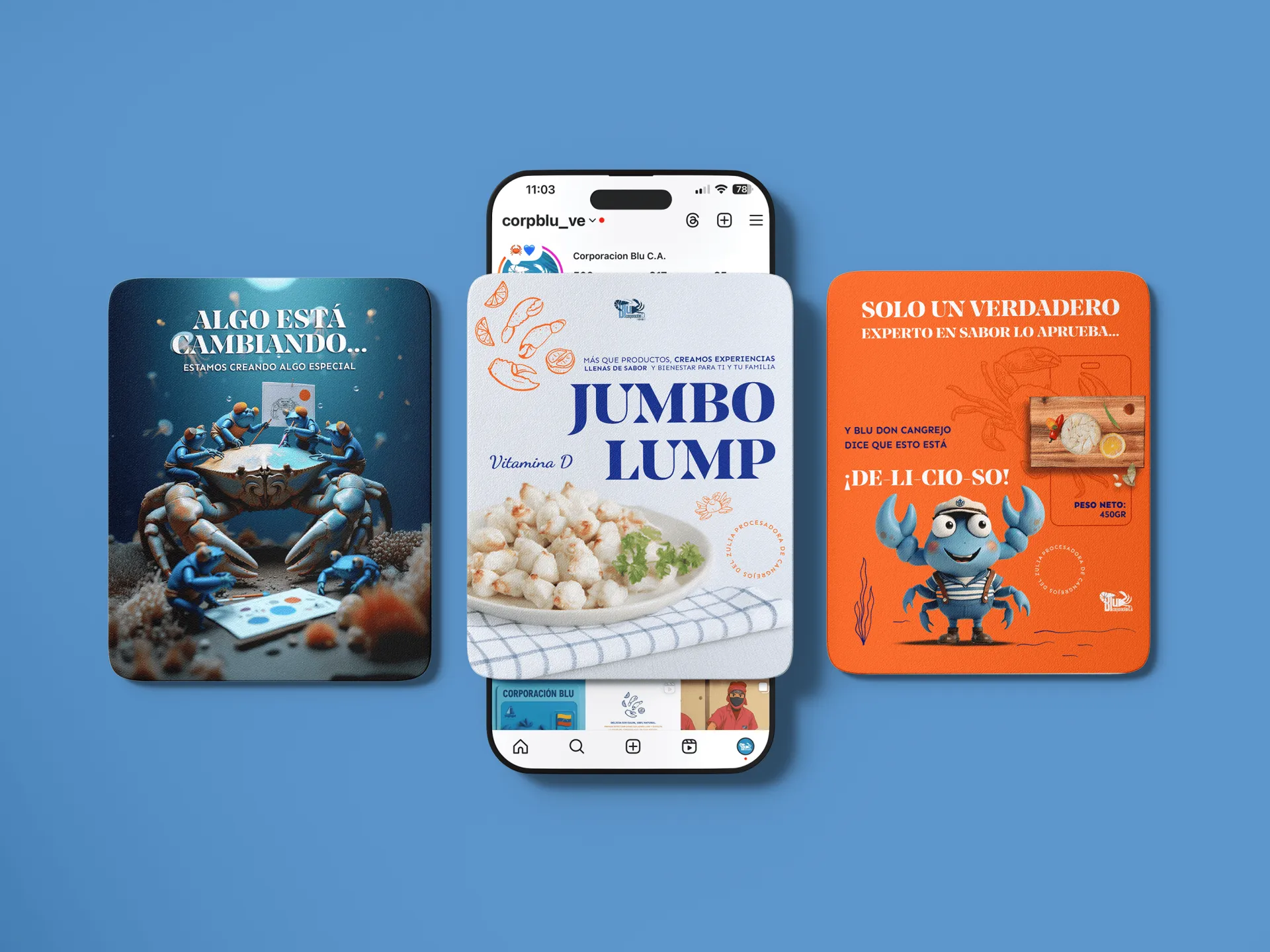 Blu C.A &mdash; Material de marca